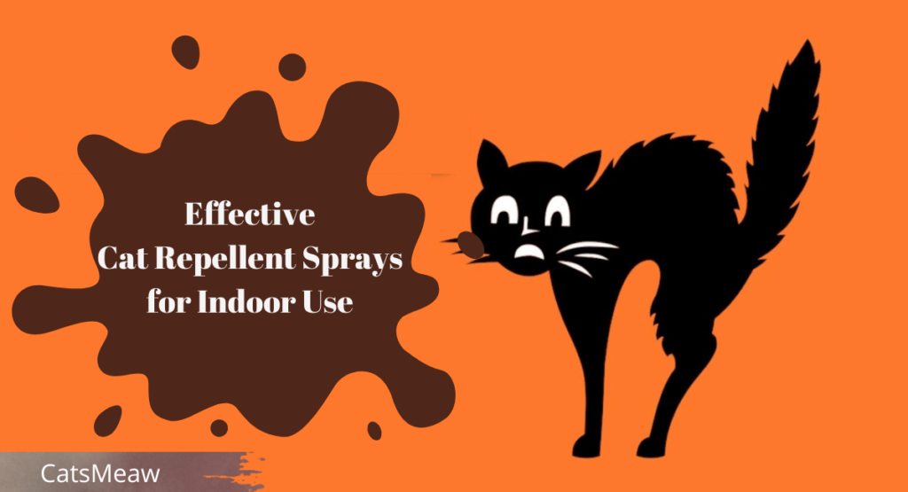 Effective Cat Repellent Sprays for Indoor Use