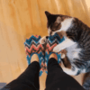 6 Raisons Why Your Cat Attacks Your Feet