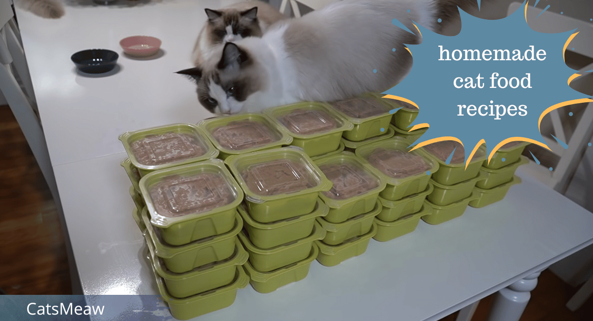 Best 3 healthy homemade cat food recipes