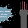 Best Tips To Stop Cats From Scratching Furniture