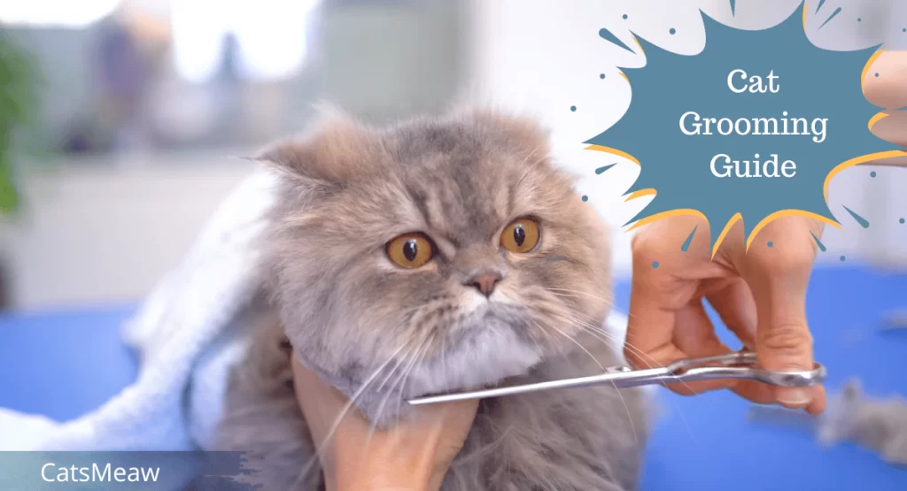 The Cat Grooming Guide