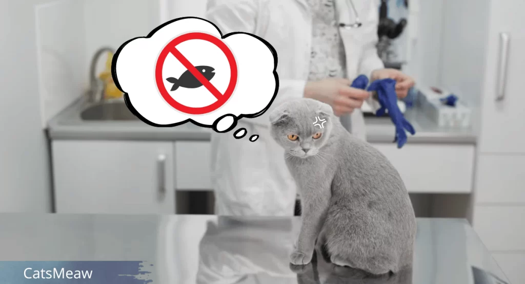 Fish Allergy in Cats: Is Your Feline Sensitive to Seafood