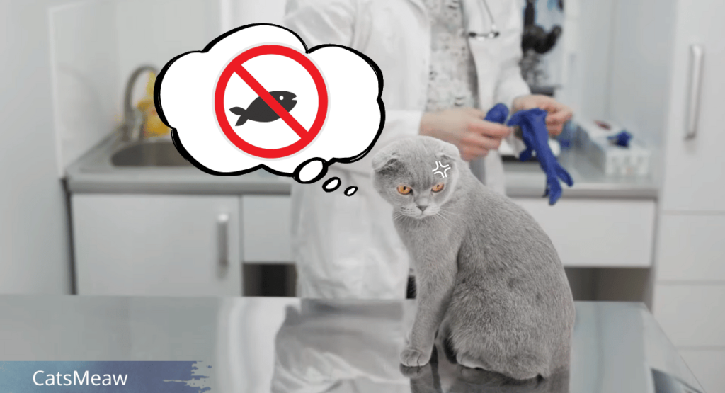 Fish Allergy in Cats Is Your Feline Sensitive to Seafood