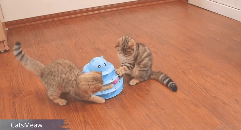 Cat Toys Best Interactive Cat & Kitten Toys