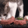 How Much to Feed a Cat Feeding Guidelines