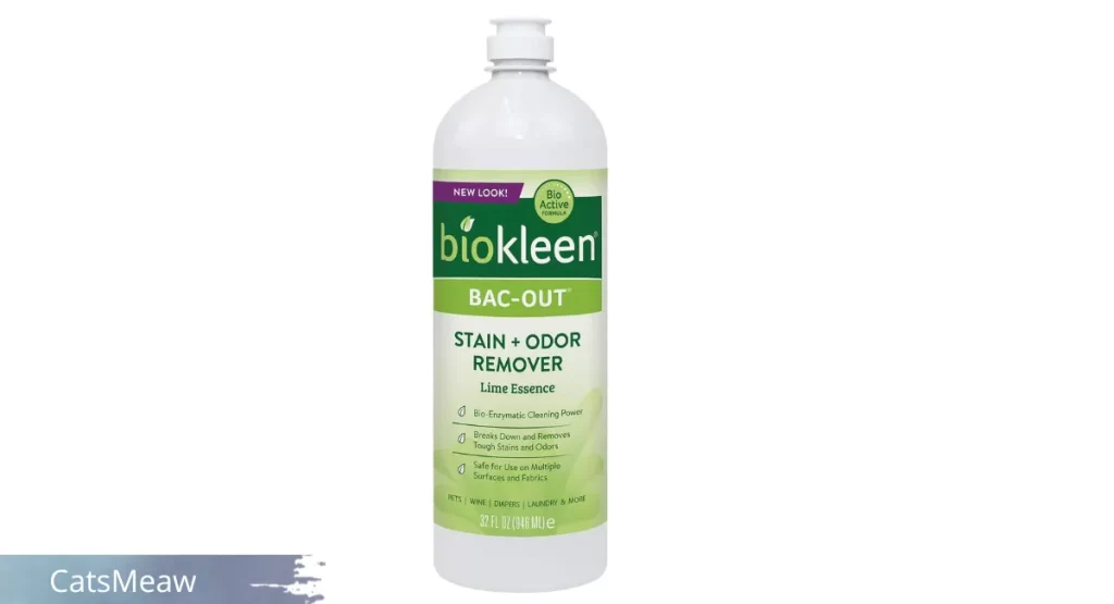 Bac-Out Stain and Odor Remover