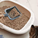 How often to Change Cat Litter?