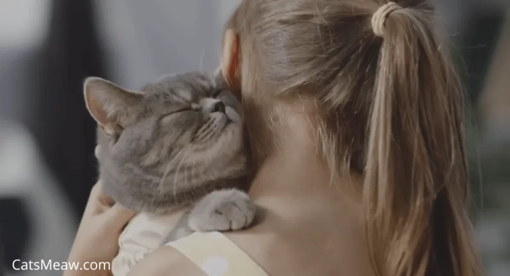 5 Reasons Why Do Cats Purr?